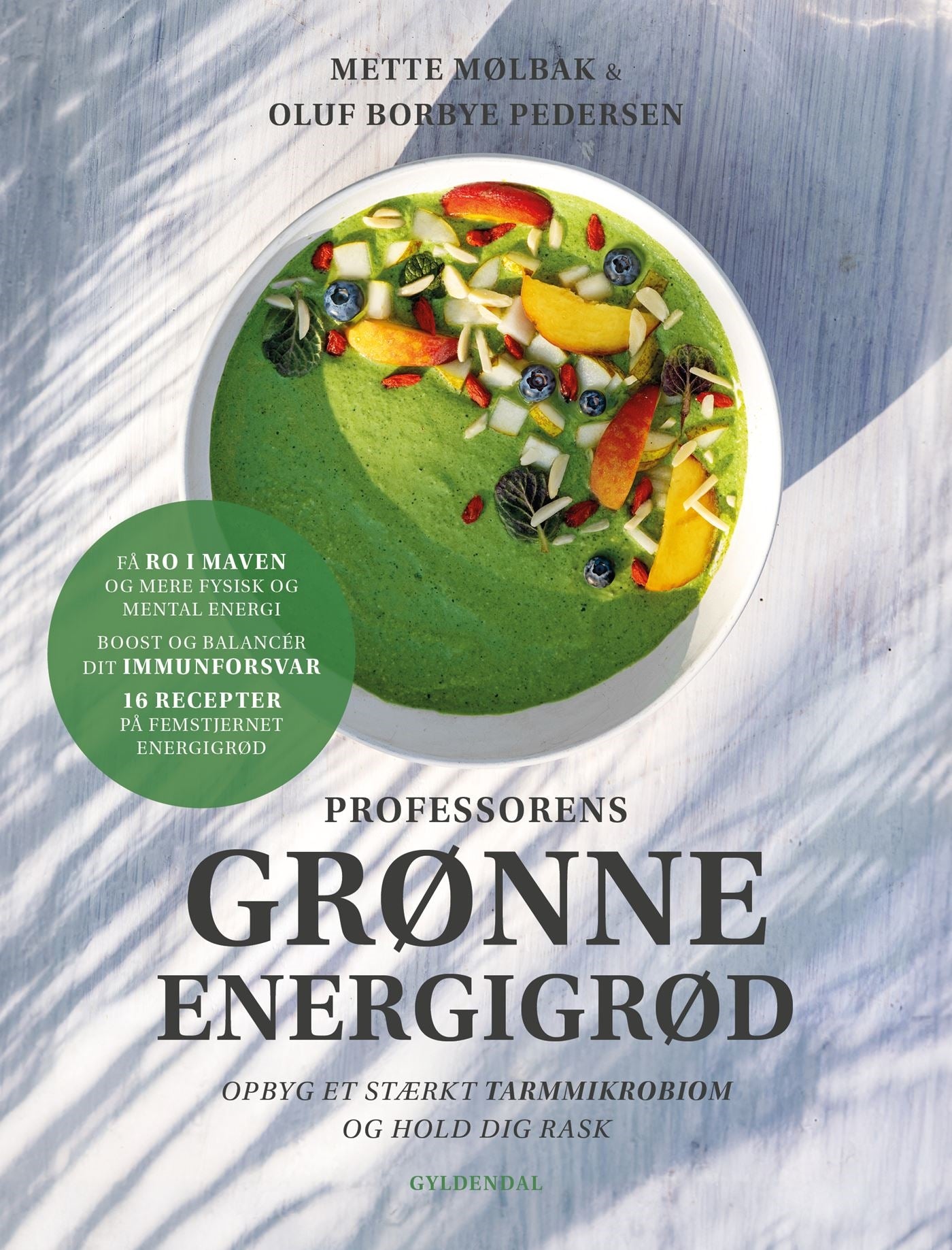 Professorens Grønne Energigrød