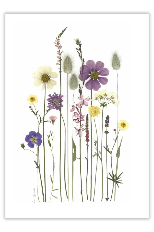 Plakat, Blomsterglæde