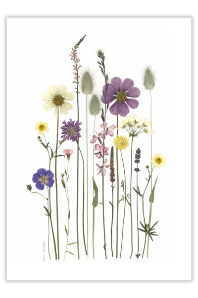 Plakat, Blomsterglæde