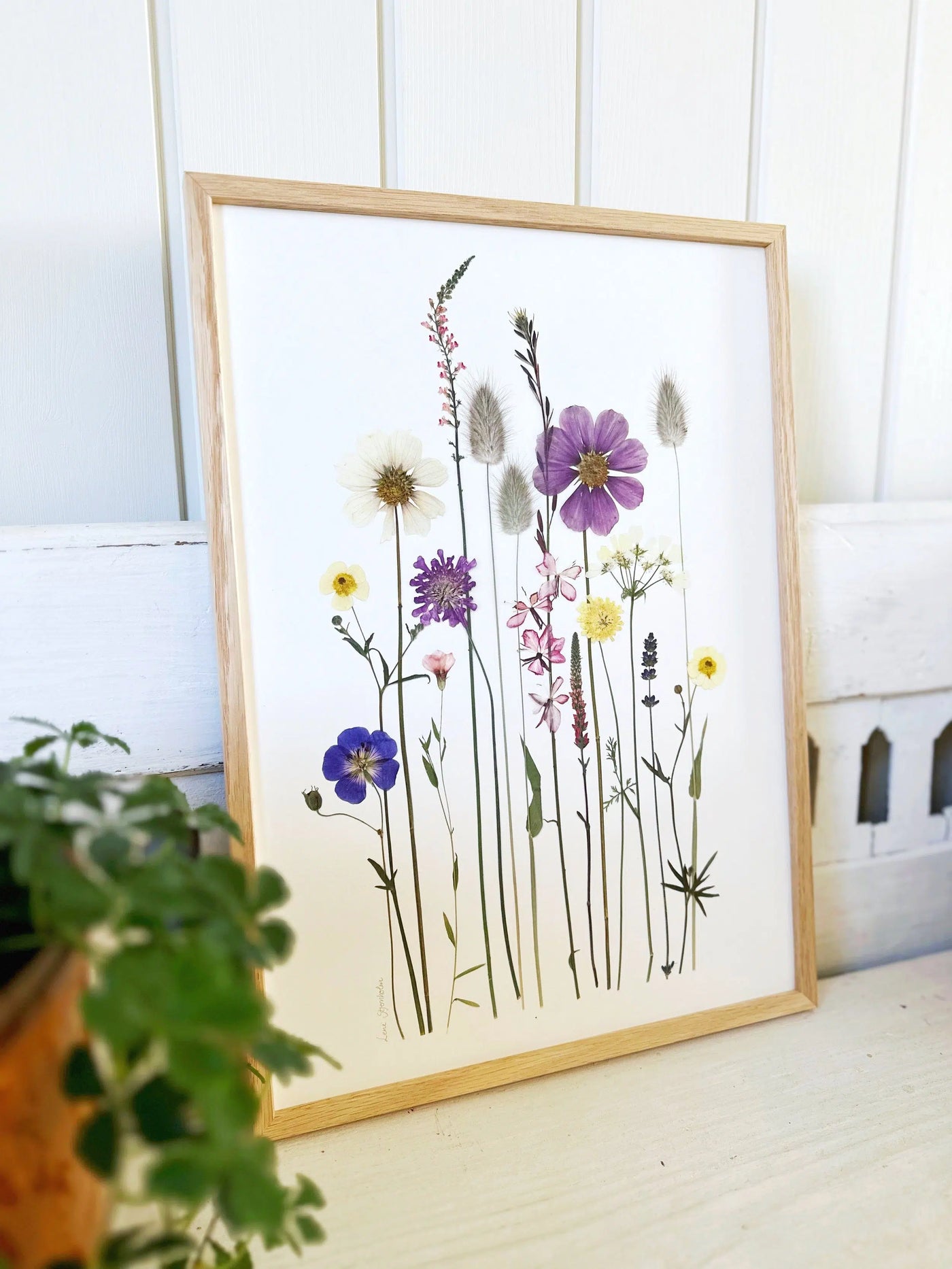 Plakat, Blomsterglæde