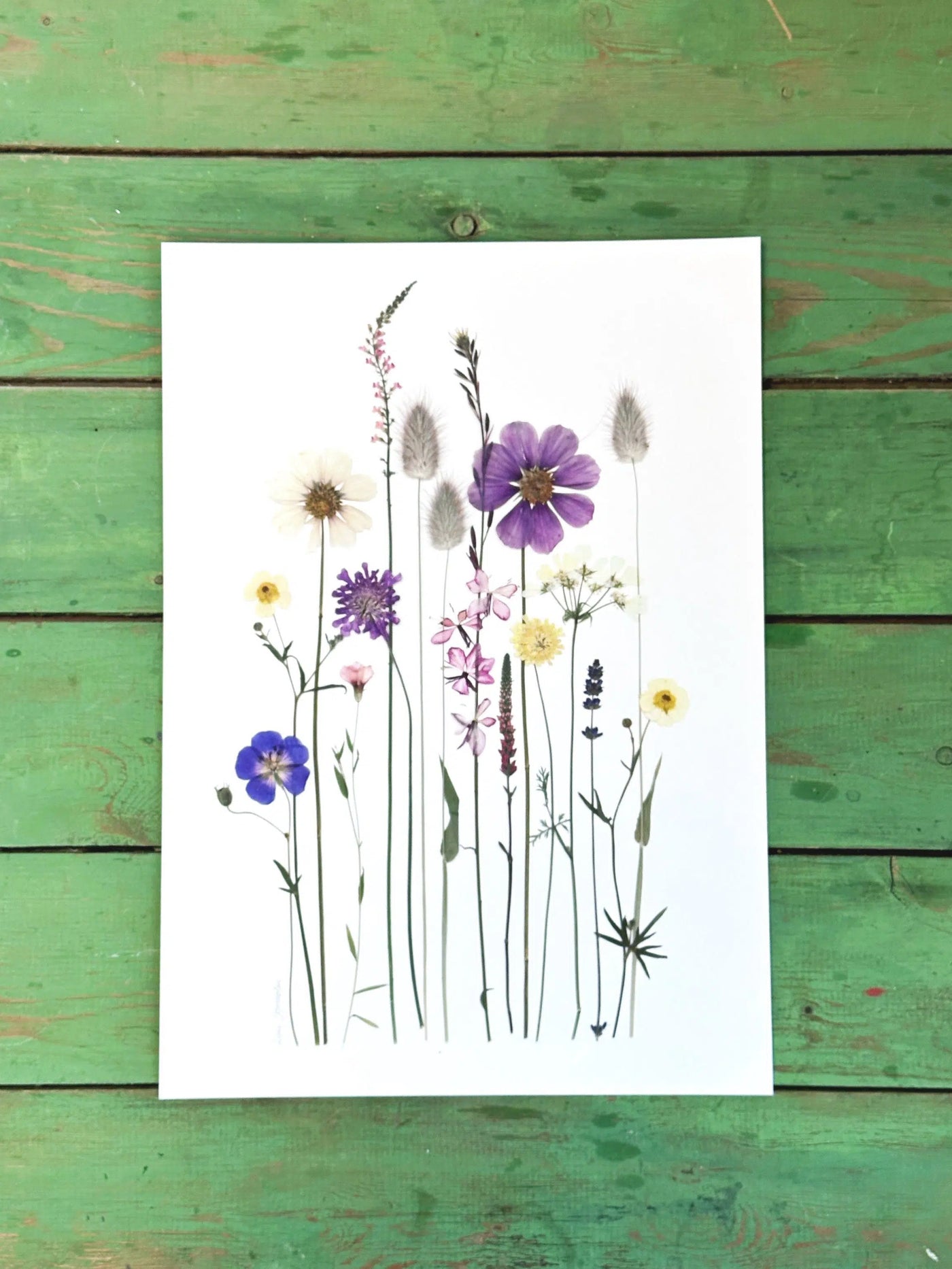 Plakat, Blomsterglæde
