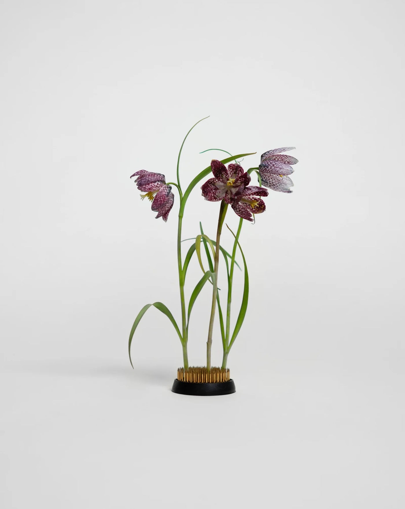 Kenzan Blomsterarrangør, Stor