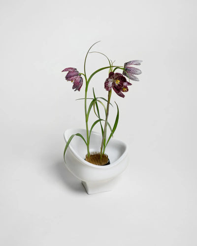 Kenzan Blomsterarrangør, Stor