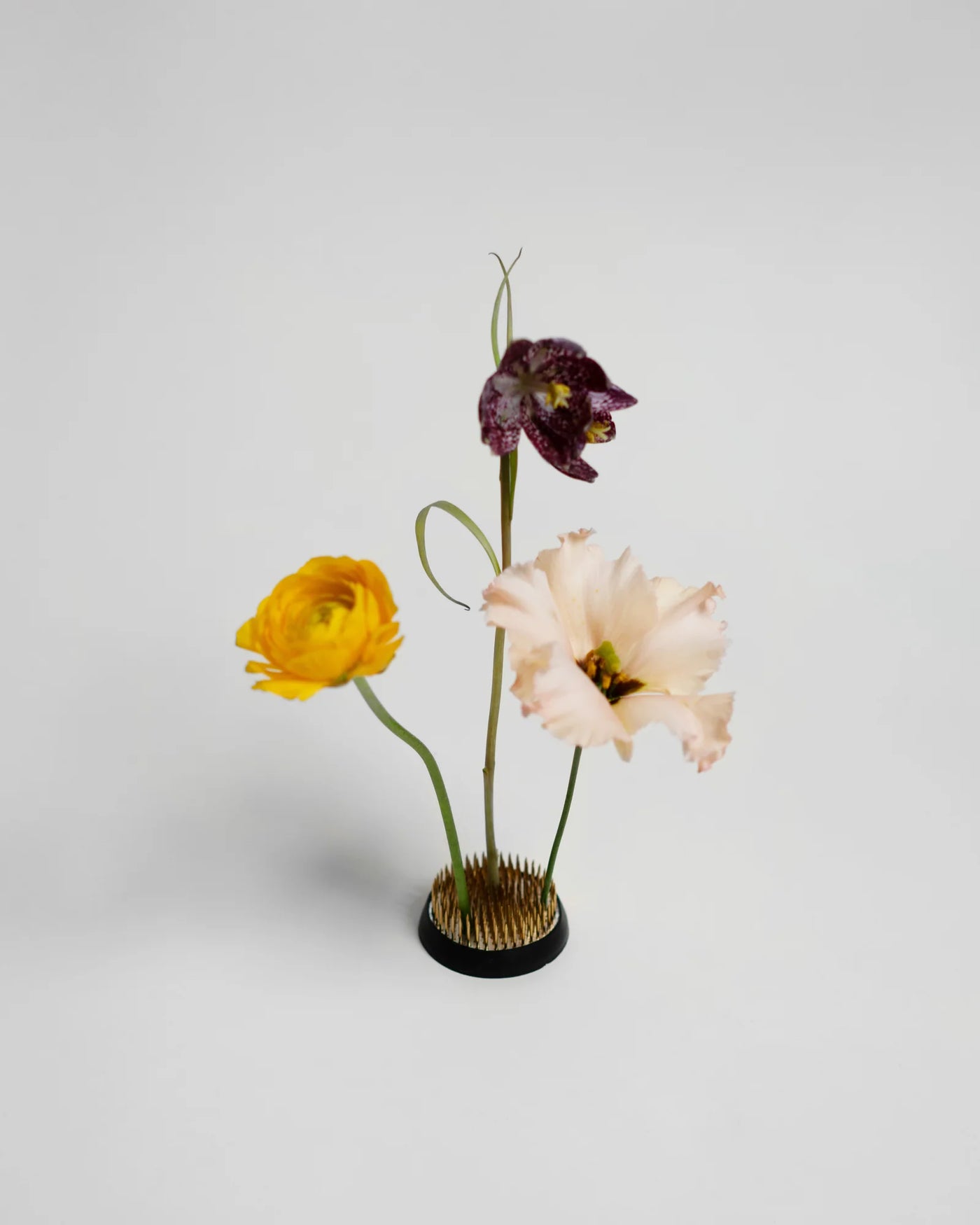 Kenzan Blomsterarrangør, Stor