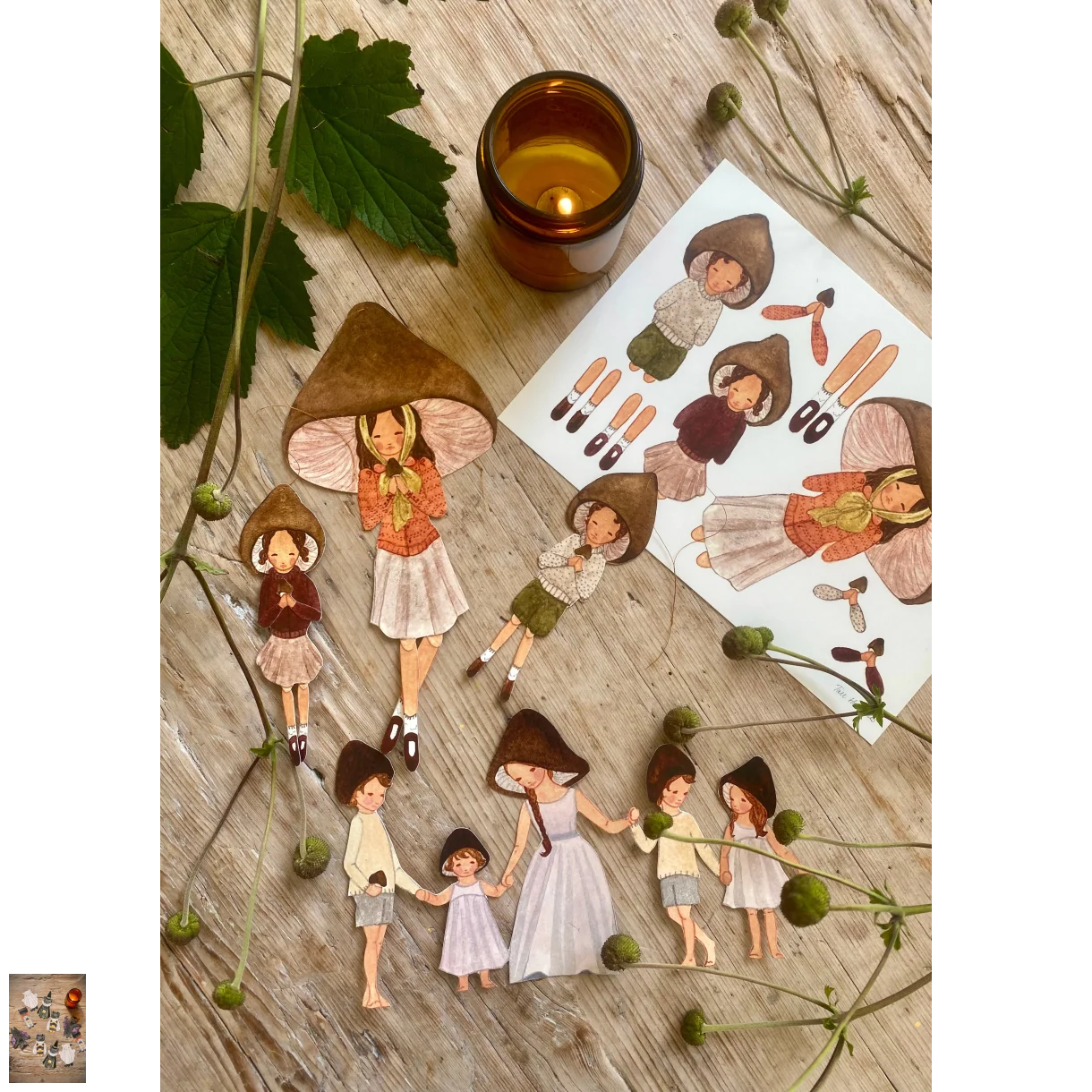 Papirklip, Svampefamilien