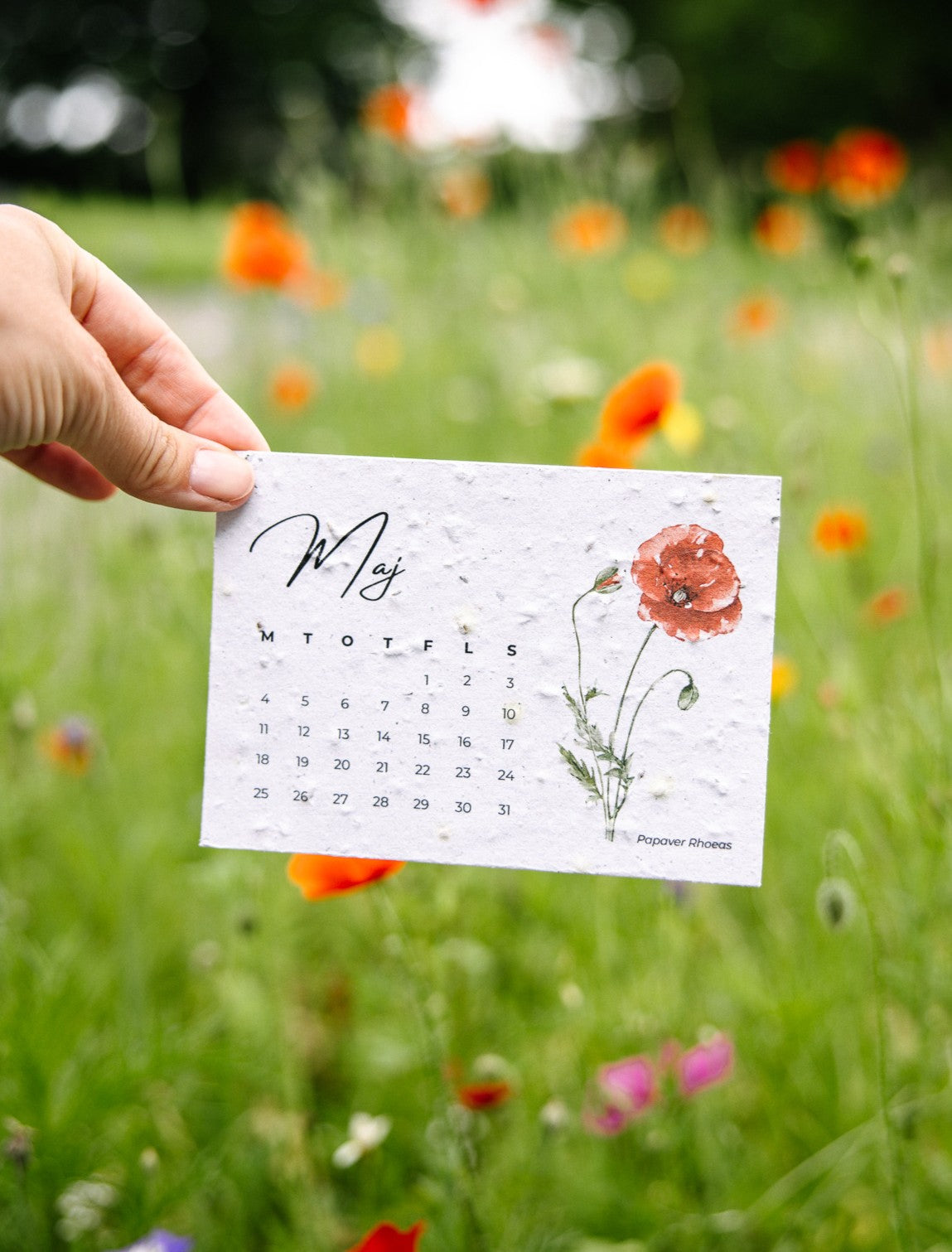 Kalender 2026, Frøpapir