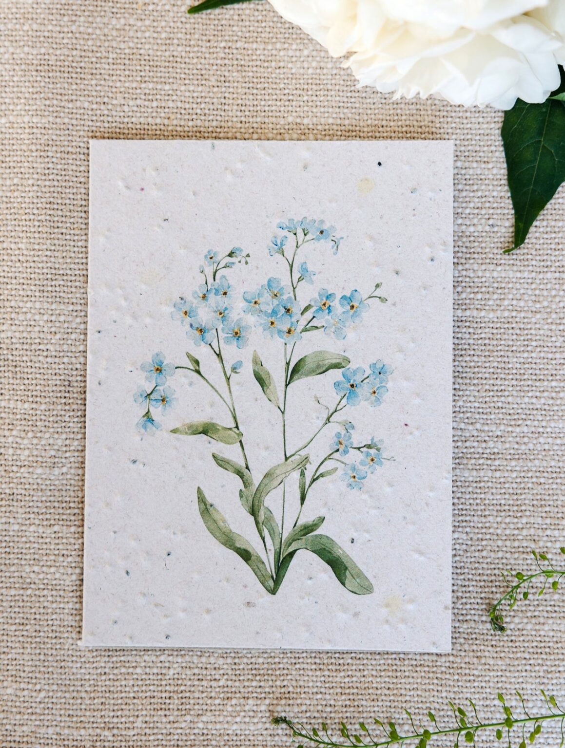 Kort m. konvolut, Forglemmigej