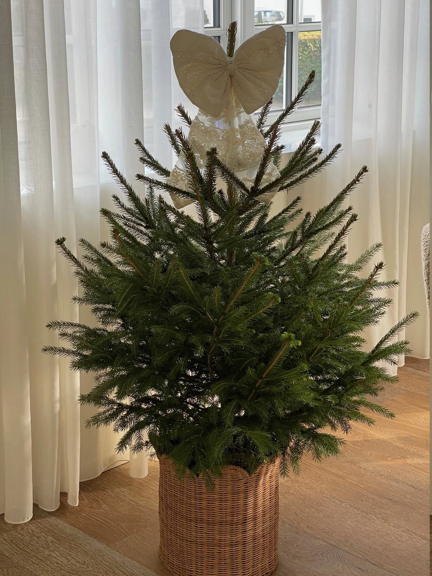 Julepynt, Blondesløjfe