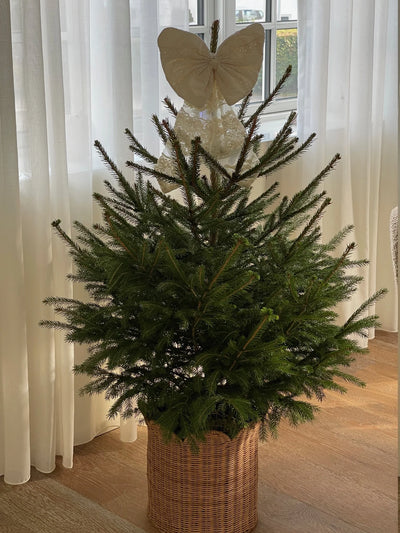 Julepynt, Blondesløjfe