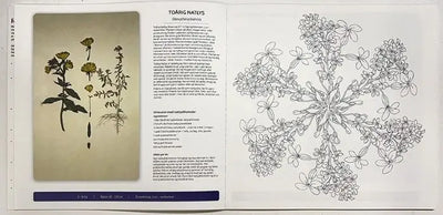 Malebog, Spiselige Blomster