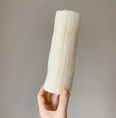 Loofah svamp