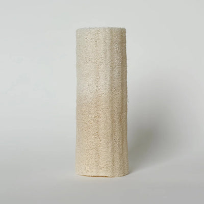 Loofah svamp