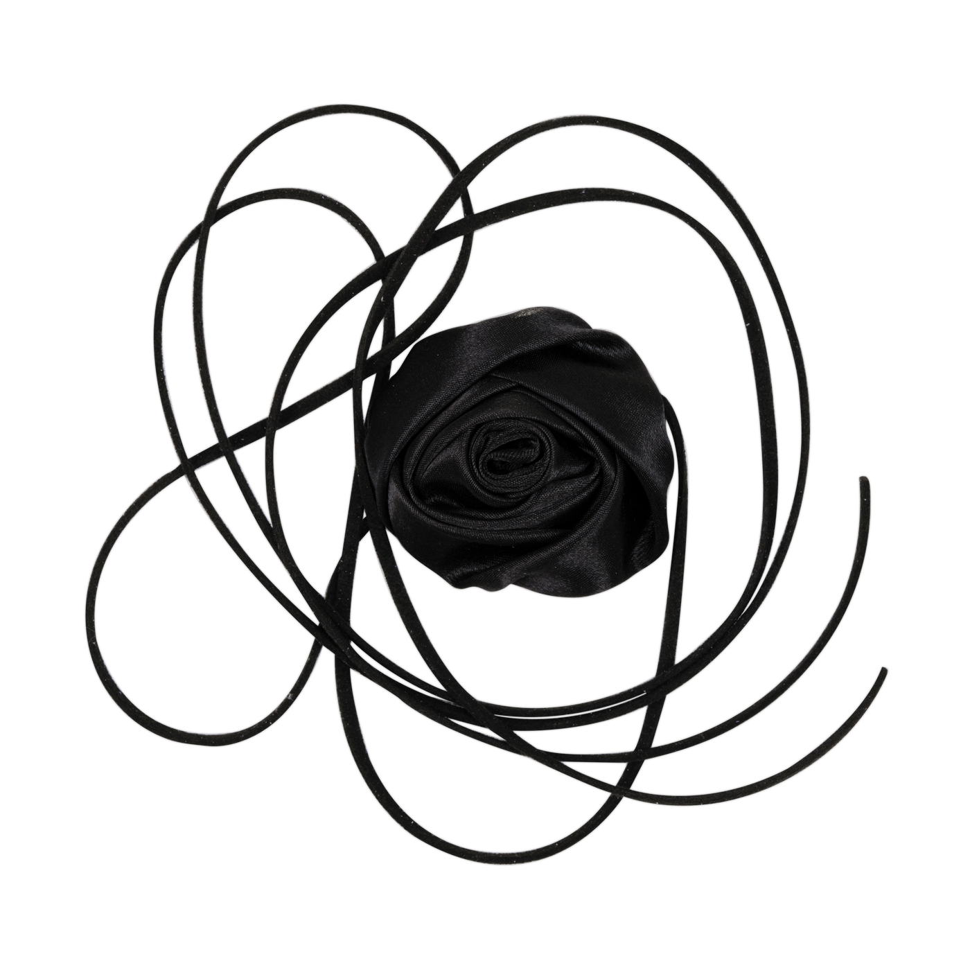 La Mia Rose, sort