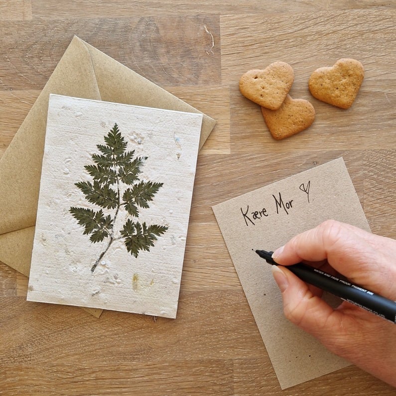 KORT PRESSET AHORN BLAD